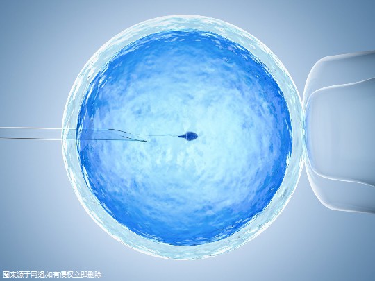 柬埔寨做试管婴儿成功率高不高?附提高成功率方法分享