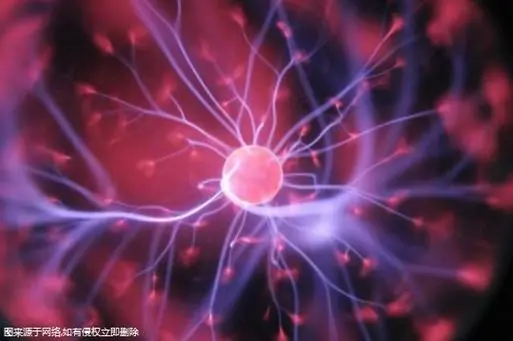 2024柬埔寨最新试管收费价目表明细