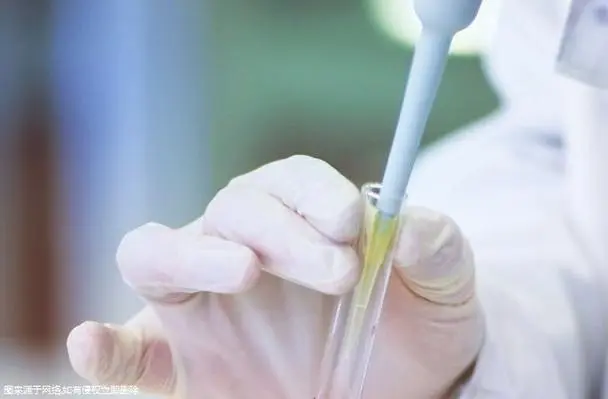 柬埔寨第三方辅助生殖做一次多少钱