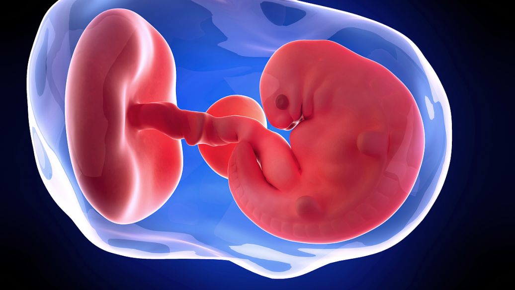 柬埔寨试管合法助孕机构排行榜出炉，还是2025年中新鲜的！